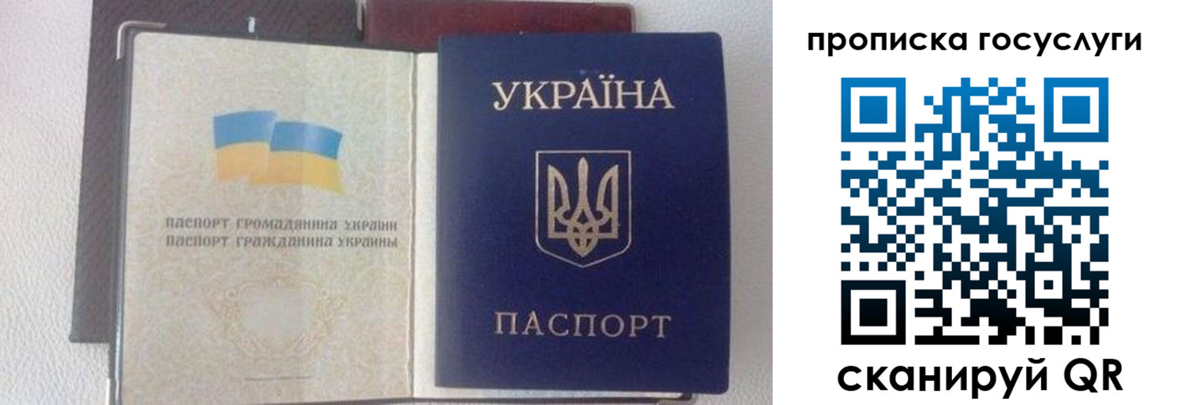 временная регистрация недорого в Североморске